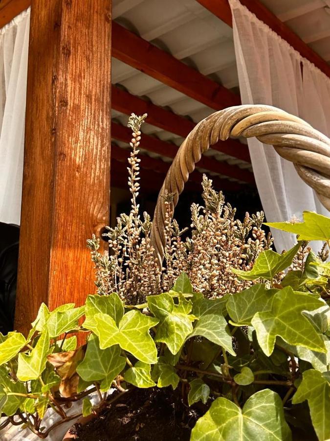 Bon Bon Del Corso Con Terrazzo E Aria Condizionata Asti Exterior foto